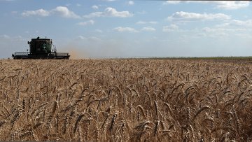 Суд оштрафовал физлицо на 24 млн руб за порчу сельхоз земель