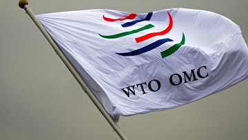 ВТО учредило третейскую группу по спору РФ с ЕС из-за пошлин на прокат