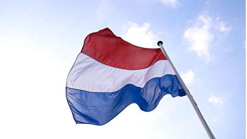 В Нидерландах задержаны более 250 протестующих против мер из-за COVID-19