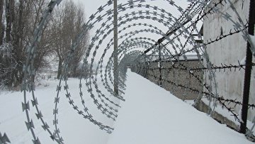 Экс-глава ФНС Архангельской области получил 8 лет колонии за взяточничество