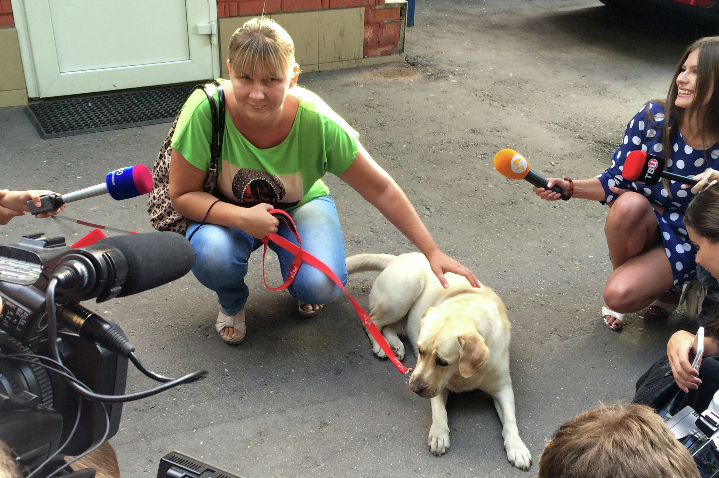 Крадут собак. Собака поводырь. Собака поводырь в Москве. Собака поводырь с волонтером.