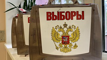 Более 80% россиян планируют принять участие в выборах президента — опрос ФОМ