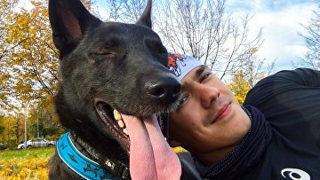 В России появится соцсеть для любителей и владельцев собак 