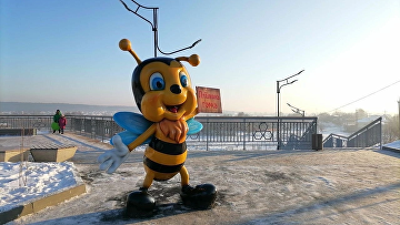 Жителя Кургана оштрафовали на 30 тыс руб за фотографию верхом на фигуре пчелы в парке